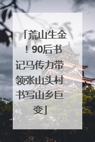 荒山生金！90后书记马传力带领张山头村书写山乡巨变
