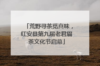 荒野寻茶觅真味，红安县第九届老君眉茶文化节启幕