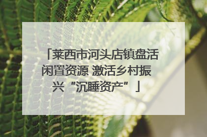 莱西市河头店镇盘活闲置资源 激活乡村振兴“沉睡资产”