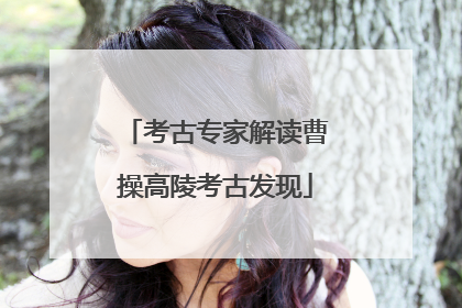 考古专家解读曹操高陵考古发现