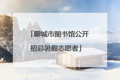 聊城市图书馆公开招募暑假志愿者