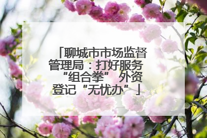 聊城市市场监督管理局：打好服务“组合拳” 外资登记“无忧办”