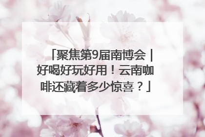 聚焦第9届南博会｜好喝好玩好用！云南咖啡还藏着多少惊喜？