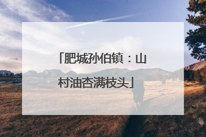 肥城孙伯镇：山村油杏满枝头