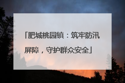 肥城桃园镇：筑牢防汛屏障，守护群众安全
