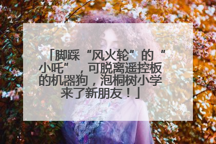 脚踩“风火轮”的“小吒”，可脱离遥控板的机器狗，泡桐树小学来了新朋友！