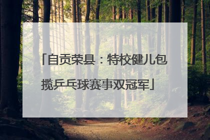 自贡荣县：特校健儿包揽乒乓球赛事双冠军