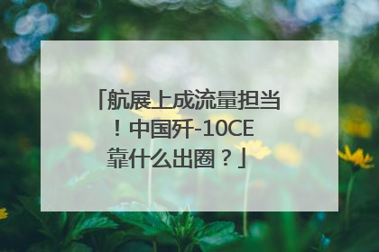 航展上成流量担当！中国歼-10CE靠什么出圈？