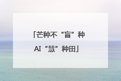 芒种不“盲”种 AI“慧”种田