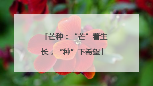 芒种：“芒”着生长，“种”下希望