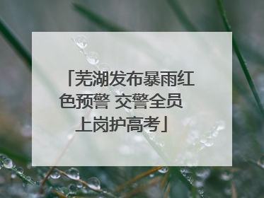 芜湖发布暴雨红色预警 交警全员上岗护高考
