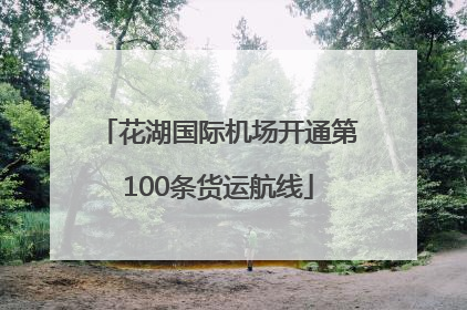 花湖国际机场开通第100条货运航线