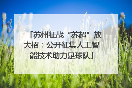 苏州征战“苏超”放大招：公开征集人工智能技术助力足球队