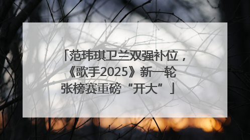 范玮琪卫兰双强补位，《歌手2025》新一轮张榜赛重磅“开大”
