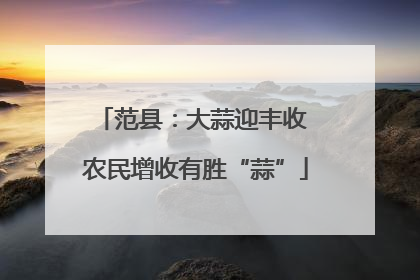 范县：大蒜迎丰收 农民增收有胜“蒜”
