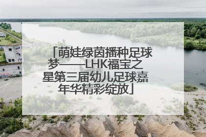 萌娃绿茵播种足球梦——LHK福宝之星第三届幼儿足球嘉年华精彩绽放