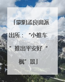 蒙阴孟良崮派出所：“小推车”推出平安好“枫”景