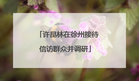 许昆林在徐州接待信访群众并调研