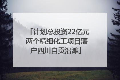 计划总投资22亿元 两个精细化工项目落户四川自贡沿滩