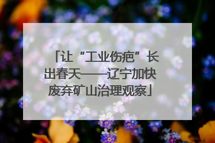 让“工业伤疤”长出春天——辽宁加快废弃矿山治理观察
