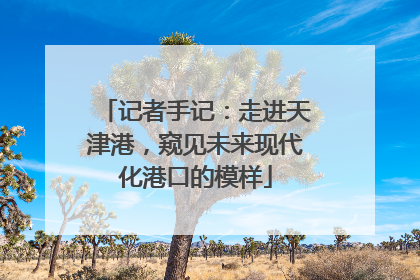 记者手记：走进天津港，窥见未来现代化港口的模样