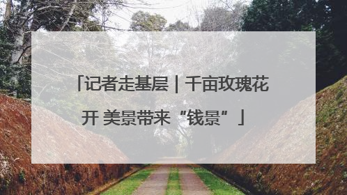 记者走基层｜千亩玫瑰花开 美景带来“钱景”