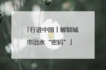 行进中国丨解锁城市治水“密码”