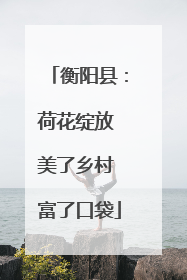 衡阳县：荷花绽放 美了乡村 富了口袋