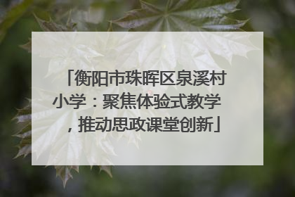 衡阳市珠晖区泉溪村小学：聚焦体验式教学，推动思政课堂创新