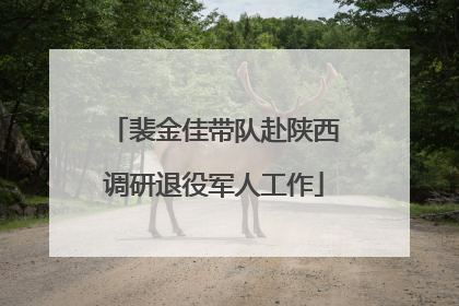 裴金佳带队赴陕西调研退役军人工作