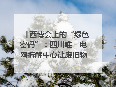 西博会上的“绿色密码”：四川唯一电网拆解中心让废旧物资“重生”｜西博寻“新”记
