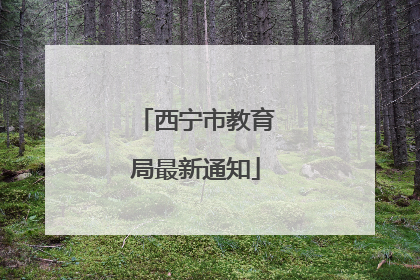 西宁市教育局最新通知