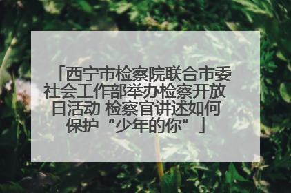 西宁市检察院联合市委社会工作部举办检察开放日活动 检察官讲述如何保护“少年的你”