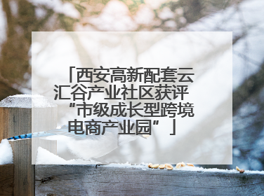 西安高新配套云汇谷产业社区获评“市级成长型跨境电商产业园”