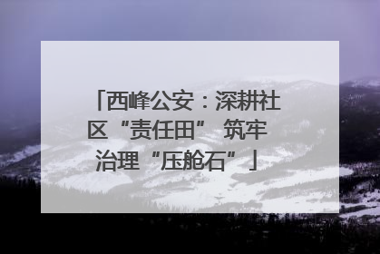 西峰公安：深耕社区“责任田” 筑牢治理“压舱石”