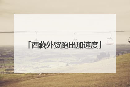 西藏外贸跑出加速度