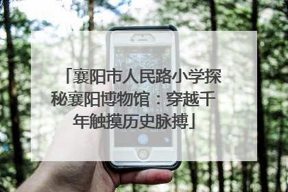襄阳市人民路小学探秘襄阳博物馆：穿越千年触摸历史脉搏