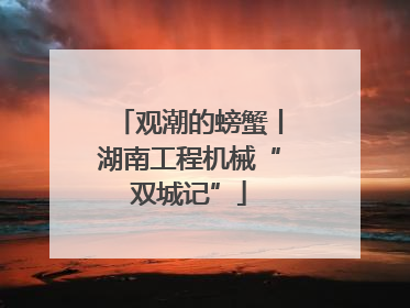 观潮的螃蟹丨湖南工程机械“双城记”