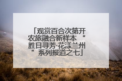 观赏百合次第开 农旅融合新样本 “胜日寻芳·花漾兰州”系列报道之七
