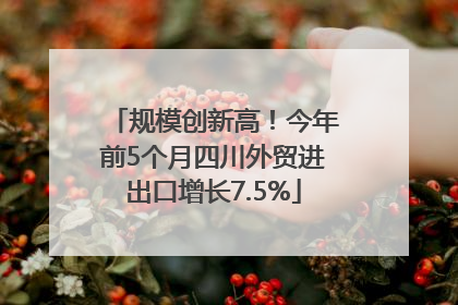 规模创新高！今年前5个月四川外贸进出口增长7.5%