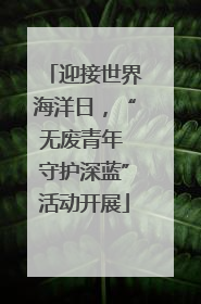 迎接世界海洋日，“无废青年 守护深蓝”活动开展