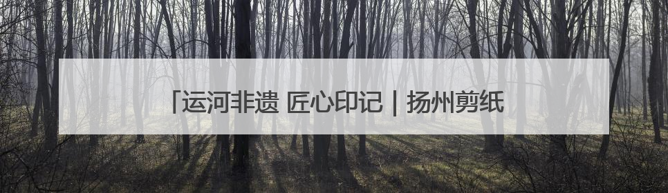 运河非遗 匠心印记｜扬州剪纸：一把剪刀，打开运河千年风韵