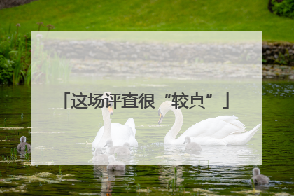这场评查很“较真”