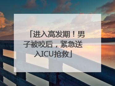 进入高发期！男子被咬后，紧急送入ICU抢救