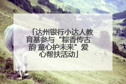 达州银行小达人教育基参与“粽香传古韵 童心护未来”爱心帮扶活动