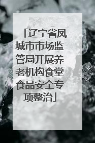辽宁省凤城市市场监管局开展养老机构食堂食品安全专项整治