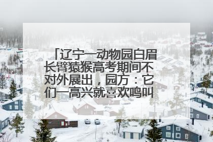辽宁一动物园白眉长臂猿猴高考期间不对外展出，园方：它们一高兴就喜欢鸣叫，怕影响考试