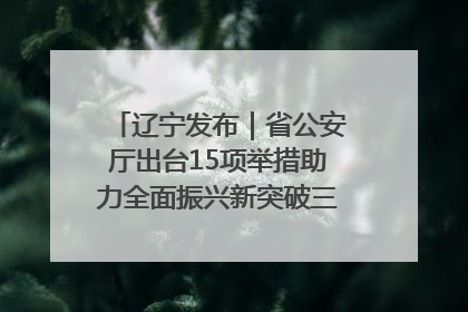 辽宁发布｜省公安厅出台15项举措助力全面振兴新突破三年行动决胜之战