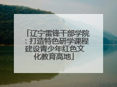 辽宁雷锋干部学院：打造特色研学课程 建设青少年红色文化教育高地