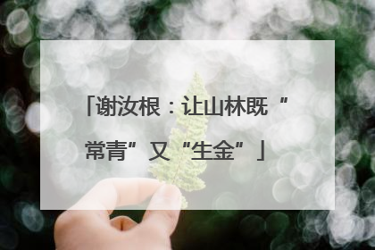 谢汝根：让山林既“常青”又“生金”